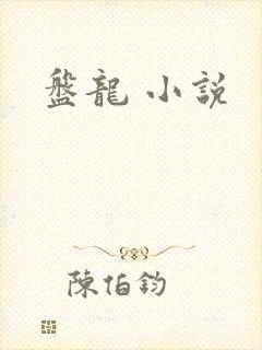 盘龙 小说封面