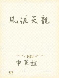 风流天龙封面