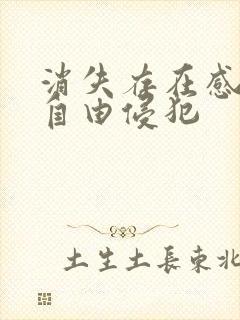 消失存在感消失自由侵犯