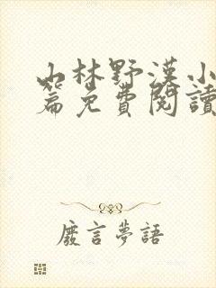 山林野汉小说全篇免费阅读封面