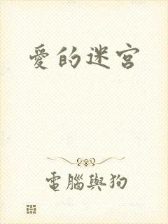 爱的迷宫