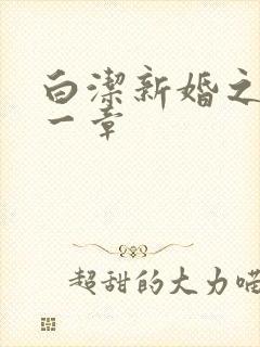 白洁新婚之夜第一章