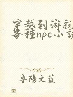 穿越到游戏里和各种npc小说封面