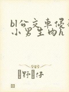 bl公交车侵犯小男生肉h