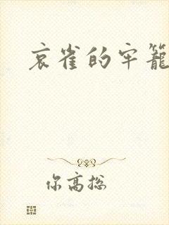 哀雀的牢笼封面