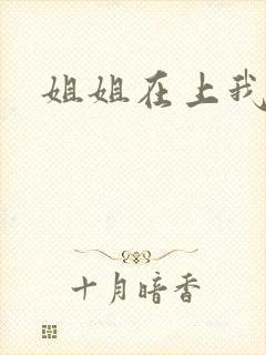 姐姐在上我在下