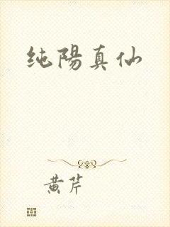 纯阳真仙