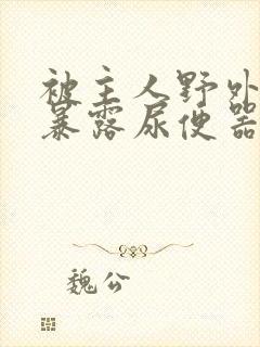 被主人野外调教暴露尿便器