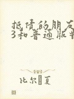 抵债的朋友麦子3和普通版对比