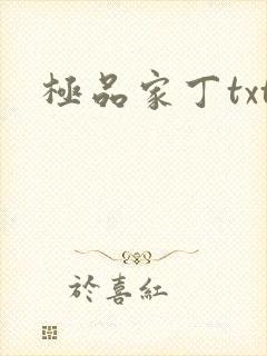 极品家丁txt