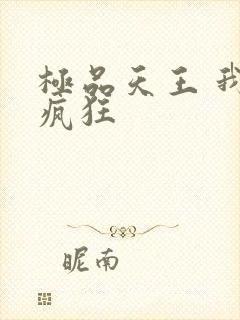 极品天王 我本疯狂