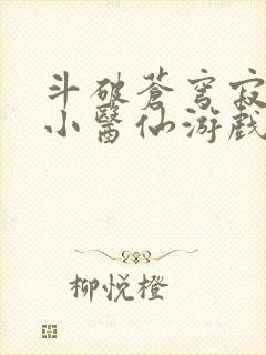 斗破苍穹寂寞的小医仙游戏世界