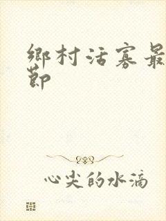 乡村活寡最新章节