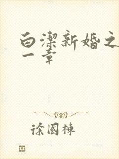 白洁新婚之夜第一章
