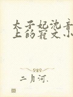 太子妃沈音和皇上的宠文小说