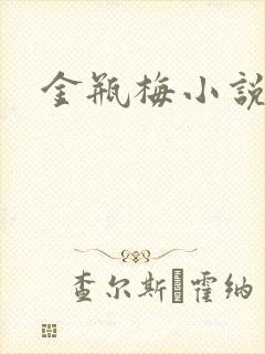 金瓶梅小说在线