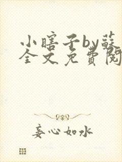 小瞎子by苏软全文免费阅读