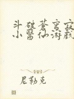 斗破苍穹寂寞的小医仙游戏世界