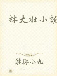 林大壮小说阅读