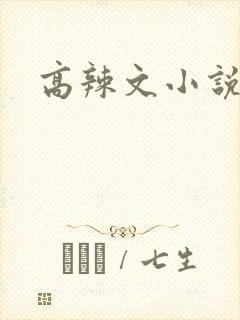 高辣文小说
