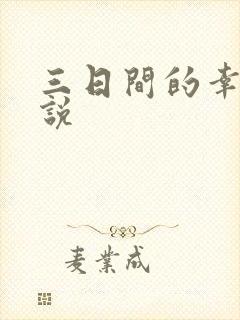三日间的幸福小说