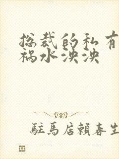 总裁的私有宝贝祸水泱泱封面