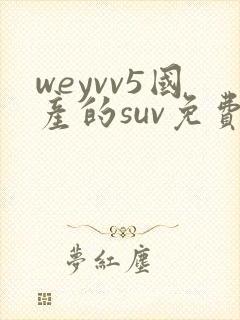 weyvv5国产的suv免费