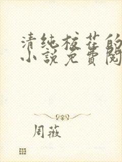 清纯校花的秘密小说免费阅读封面