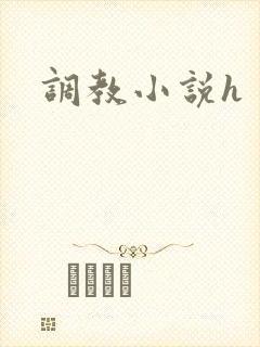 调教小说h封面