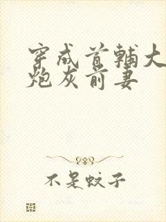 穿成首辅大人的炮灰前妻