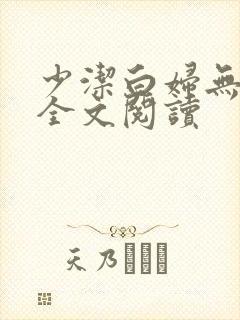 少洁白妇无删减全文阅读封面