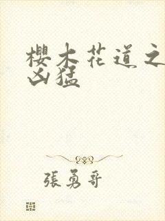 樱木花道之重生凶猛