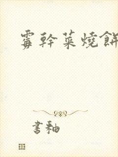 霉干菜烧饼封面