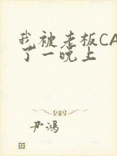 我被老板CAO了一晚上