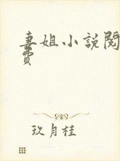 妻姐小说阅读免费