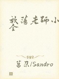 放荡老师小说大全