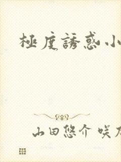 极度诱惑小说封面