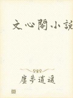 文心阁小说封面