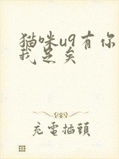 猫咪u9有你有我足矣封面