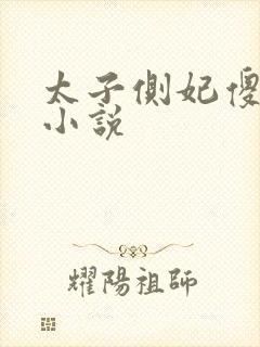 太子侧妃傻乎乎小说