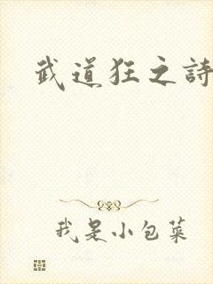 武道狂之诗