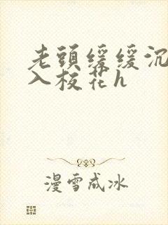 老头缓缓沉腰进入校花h