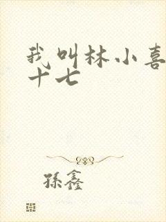 我叫林小喜今年十七