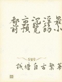 都市沉浮最快超前预览的小说3030