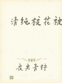 清纯校花被封面