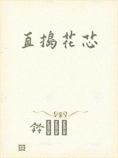 直捣花芯封面