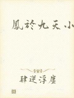 凤于九天小说
