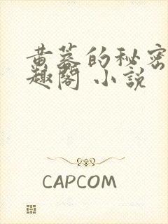 黄蓉的秘密 笔趣阁 小说