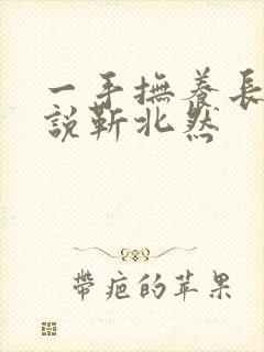 一手抚养长大小说靳北然