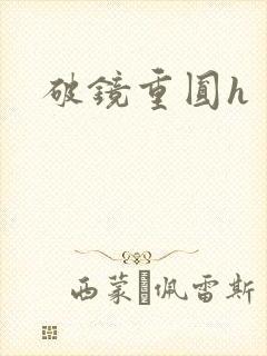 破镜重圆h